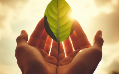 Sustentabilidade no Setor Elétrico: Como Reduzir o Impacto Ambiental das Instalações